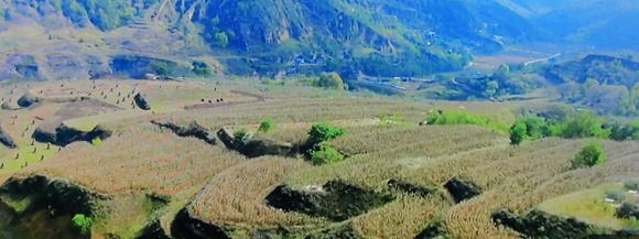 pola uprawne na tarasach doliny