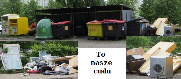 bałagan przy altankach śmietnikowych