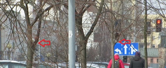Niszczone drzewo przy KEN