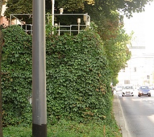 zazieleniona stacja monitoringu
